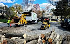 Best Tree Health Inspection  in Vassar College, NY