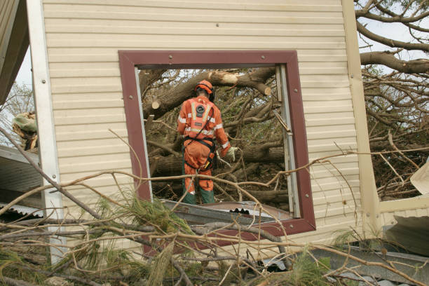 Vassar College, NY Tree Care Services Company